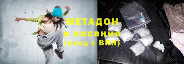 гидра Аркадак