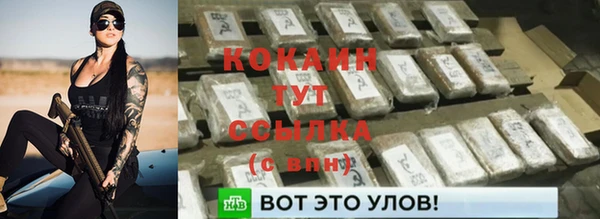 гидра Аркадак