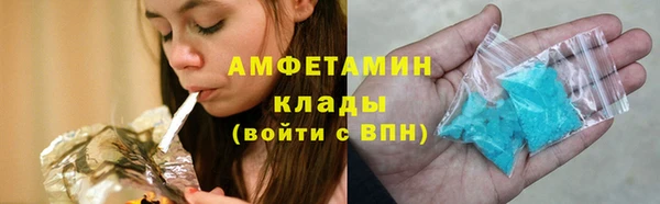 гидра Аркадак