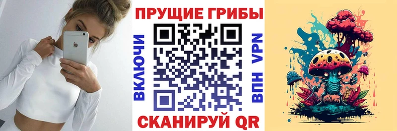 Галлюциногенные грибы Psilocybine cubensis  Сим 